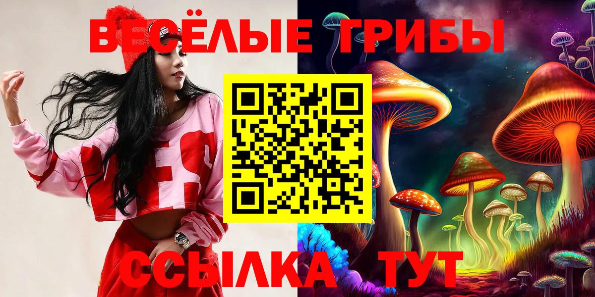 Галлюциногенные грибы мицелий  Галлюциногенные грибы мицелий  Вход с VPN  что такое наркотик  Кашира 